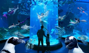 5 Wisata Edukasi di Jakarta yang Wajib di Kunjungi Bersama Anak